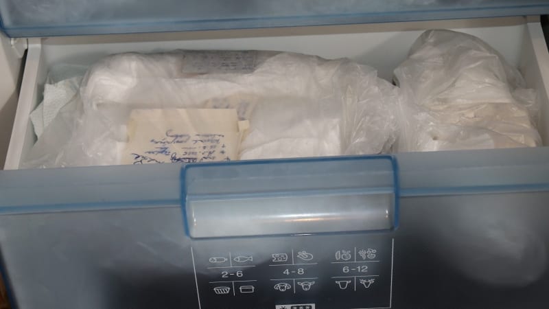 Otřesný případ týrání koček v Teplicích: Přes sto mrtvol majitelka nacpala do mrazáku