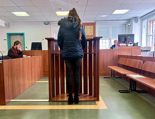 Synovi zlámali žebra, viní žalobce rodiče. Otec zmizel, matka čeká čtvrté dítě